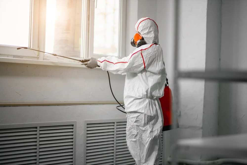 Professional mold remediation services in Winder, GA